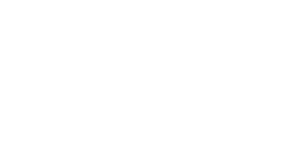 NorVIS hvit Logo